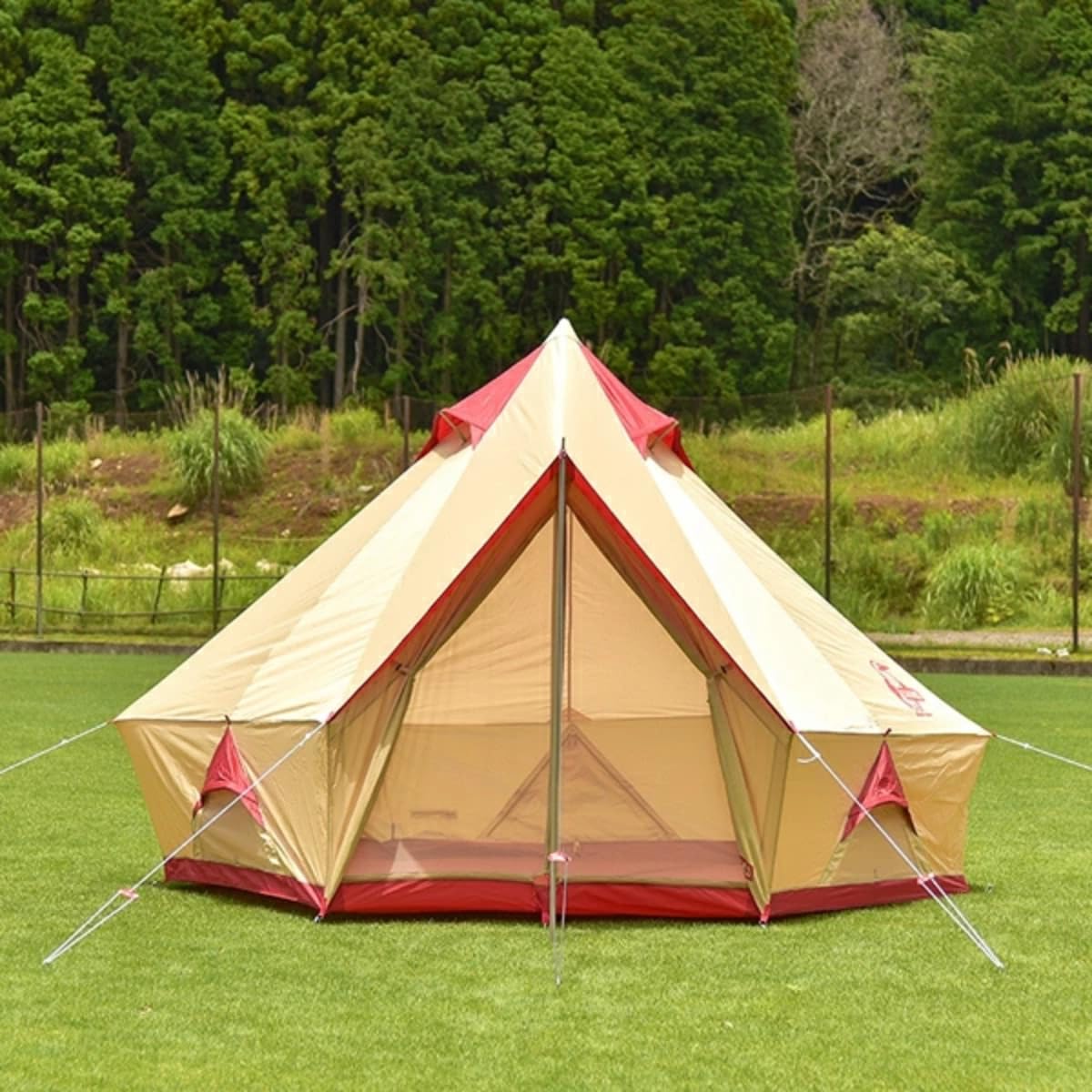 Amazon.co.jp: [チャムス] ブービー ハウス 4 CH62-1702O Beige/Red
